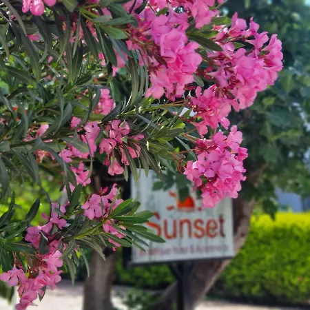 Pensionat Sunset Boutique & 3*